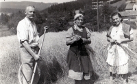 Dědeček Anny Krpešové Karel Frič, babička Marie a matka Anna, senoseč, Staré Hamry, v době druhé světové války