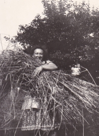 Jiřina Kulíšková (mother) in the field