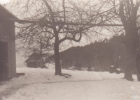 Zahrada a sušírna ovoce, zima 1945