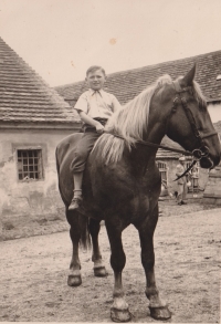 Václav Kříž on horseback, 1930s
