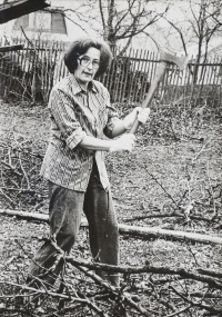 Věra Ničová při podzimních pracích na zahradě u syna, Lánov 1987