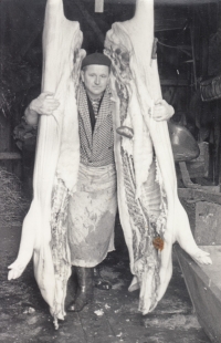 František Bauer senior during one of the pig slaughters in Otovice in the 60s 