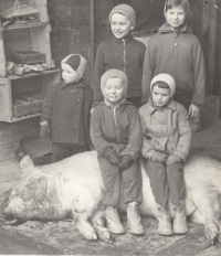 Whole families including children took part in the village pig slaughters in Otovice 