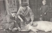 The witness František Bauer (right) during a pig slaughter with his father (middle) and uncle 