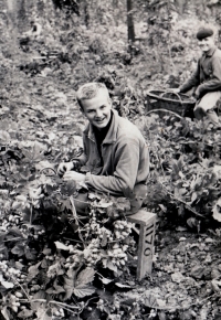 Leoš Mlčák during hop harvest, 1963