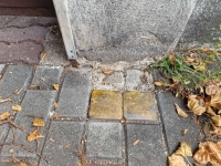 Stones of the disappeared in front of the house of the grandparents of Vilém and Valérie Kende, 2023