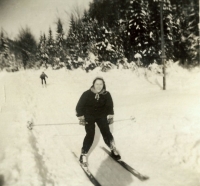 Trip to Krkonoše - Škoda Plants