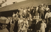 The final harvest home festivity on Zedníček's farm before its confiscation in 1950