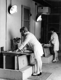 Left Anna Fabiánová at the workplace called the preparation room in the Zempro poultry farm in Opava Kateřinky