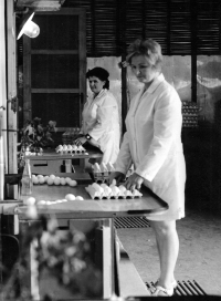 On the right Anna Fabiánová at the workplace called the preparation room in the Zempro poultry farm in Opava Kateřinky