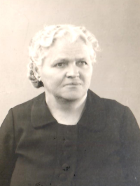 Marie Hrudníková's mother