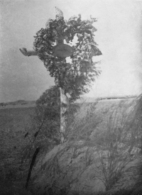 The grave of Josef Hajšman's maternal grandfather, who was killed during the First World War in 1915, on the eastern front near Lublin