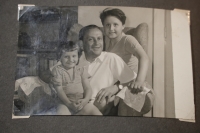 S otcom spisovateľom Milošom Krnom, ktorý sa zapojil do protifašistického hnutie, a bratom Ilijom.   