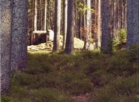 The restored bunker the Hojdekrs take care of