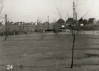 Meadow near Černý most, 1960s