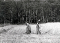 Arnošt Vošahlík helping his mother on the farm, 1980s