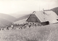 Scouting with the legendary "Five", 1950s