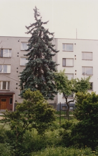 The area where the swimming pool used to be located behind the Kyjov pharmacy building