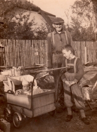 Witness in a pram with his brother Zdeněk, Bělá u Luže 1956