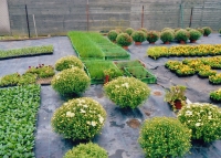 Family garden centre, Horní Jelení 1920s 21st century