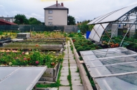 Family garden centre, Horní Jelení 1920s 21st century