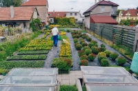 Jiří Rožek and family garden centre, Horní Jelení 1920s 21st century