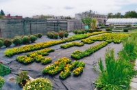Family garden centre, Horní Jelení 1920s 21st century