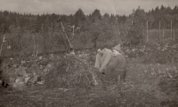 Sorting carrots with his father, Horní Jelení 1960s