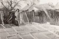 Witness in the garden with cold frames, 1980s