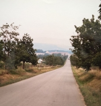 Road from Pohořelice to Žabčice