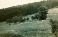 The site of the Fischer family house on Růženec, 1950s