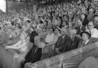 Audience during a Sokol exercise, Vienna, 1956, author of the photo Tony Vecera