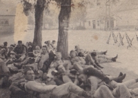 Franz Neumann's military service, late 1920s