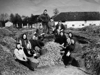 Adéla Lasáková's aunt Marie Flašková (second left, black scarf) in JZD Oldřišov, 1960s