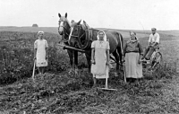 Field work in Štěpánkovice, 1930s