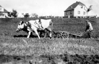 Milan Weber's grandfather Antonín Doležal, Mnichovice