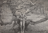 Miroslav Drábek, Ostrov nad Ohří Castle Park, 1980s