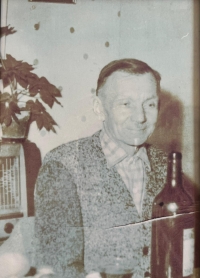 Marie Šteflová's father