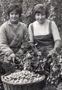 With a classmate at the hop picking, 1966