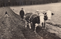 Grandfather Henry Siegel in his field
