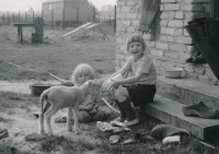 Jana Poláková with brother Ondřej and a lamb, Mělník, 1982