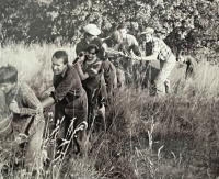 Construction of a ski lift, children's section of Jaroslav Škaloud, 1971