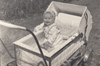 Irena Hirai as a toddler in a pram