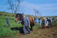 Alena Zdražilová with pupils from the Waldorf school during the epoche From Grain to Bread