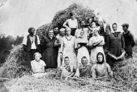 Harvest in Včelin, 1930s