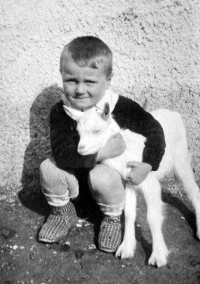 Miloslav Komárek, mid-1940s