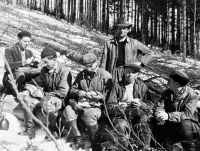 Group of forest workers