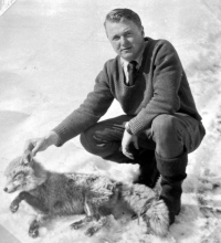 With a hunted fox