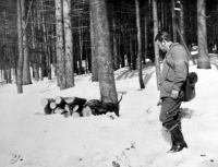 During a working patrol in the forest