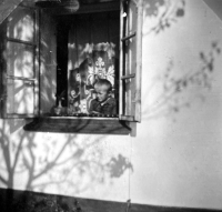 In the window of the family house in Včelin